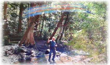 The Magic Rainbow of Don's